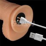 Power Basics Dildo with Vibration 9.5 - Image 12