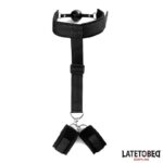 Gag Ball and Cufs Restrictions - Image 3