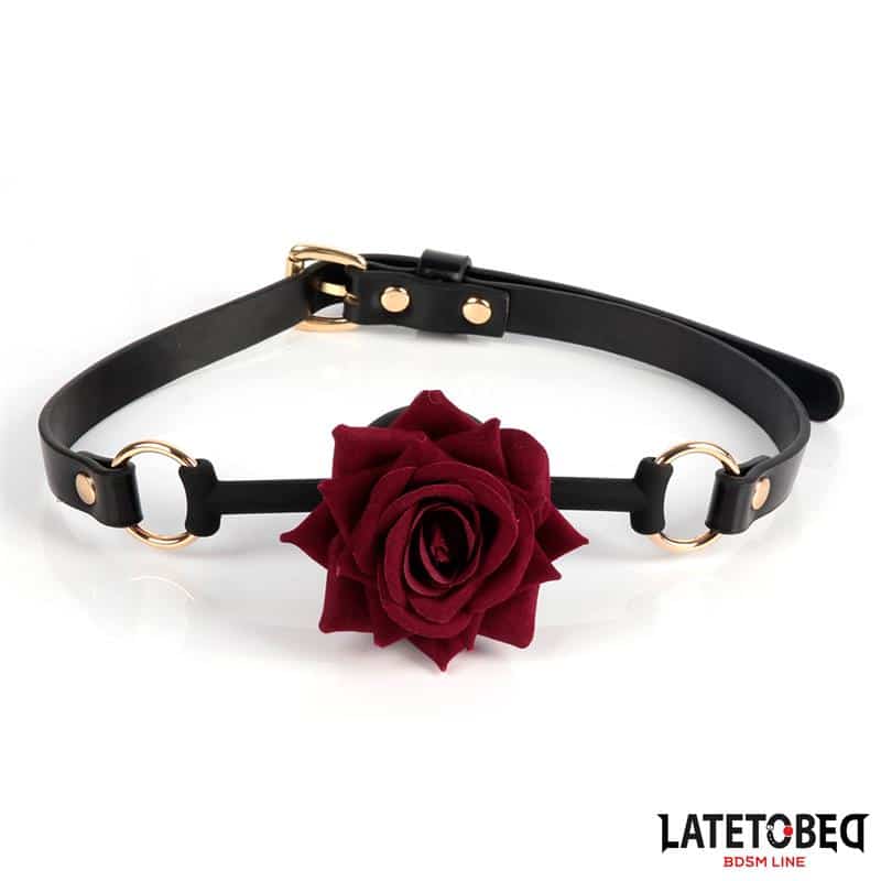 Gold-Metal-rose-gag-Ball Gold Metal rose gag Ball - Image 1