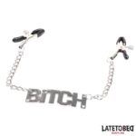 Nipple Clamps with Bitch - Image 2