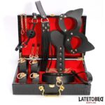 8 Piece Leather Bondage Kit with Storage Case - Image 2