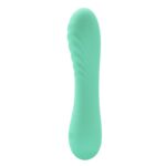 Alexisrose Vibrator Full Silicone - Image 3