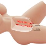 Masturbator Replica 4kg - Image 6