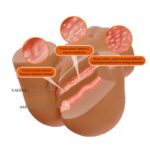 Masturbator with Vibration, Suction Efect and Voice 11 kg - Image 6