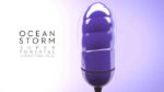 Vibrating Egg Ocean Storm + Control LRS - Image 7