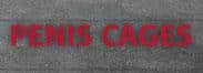 PENIS CAGES