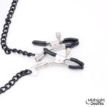 Ball Gag with Nipple Clamps - Image 4