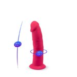 Dildo Dual Density Mod. 2 - 6 Pink - Image 7