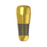 Masturbator Kitty Golden Anus - Image 3