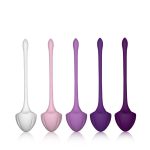 Set of 5 Kegel balls