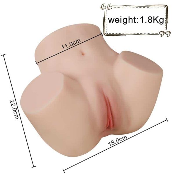 Yasha Realistic Semi Torso 1.8 kg - Image 9